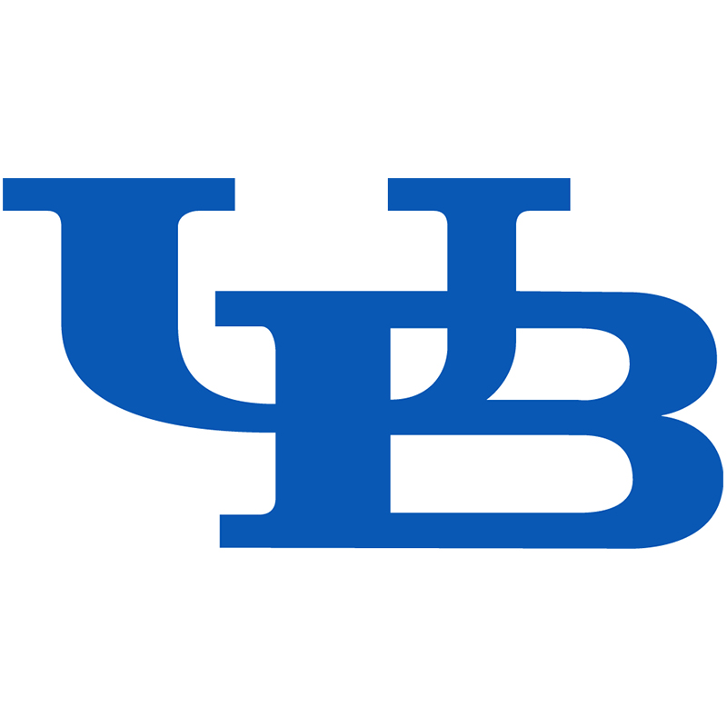 Buffalo Bulls iron ons